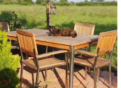 Relaxing on the patio