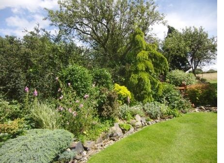 The back garden showing the stream