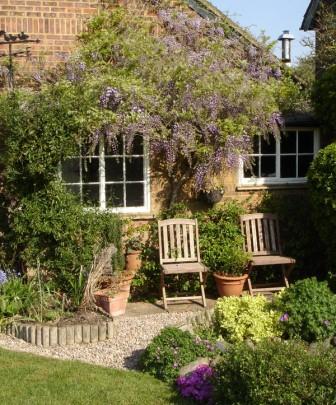 Seats by the wisteria