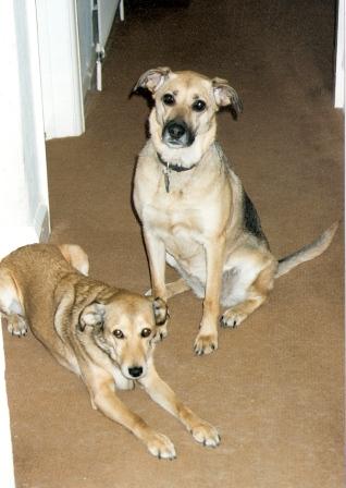 Cindy (left) and Tammy (right)